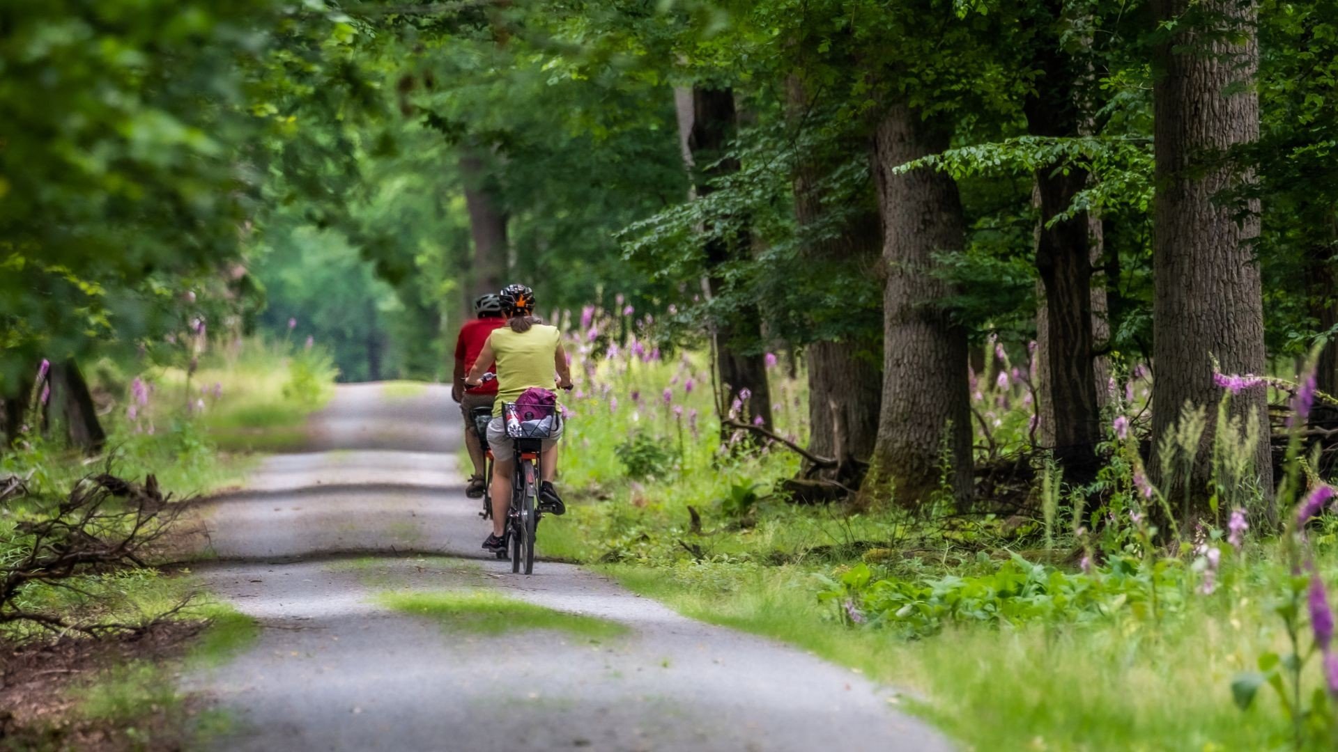 Mit dem Fahrrad durch die Umgebung