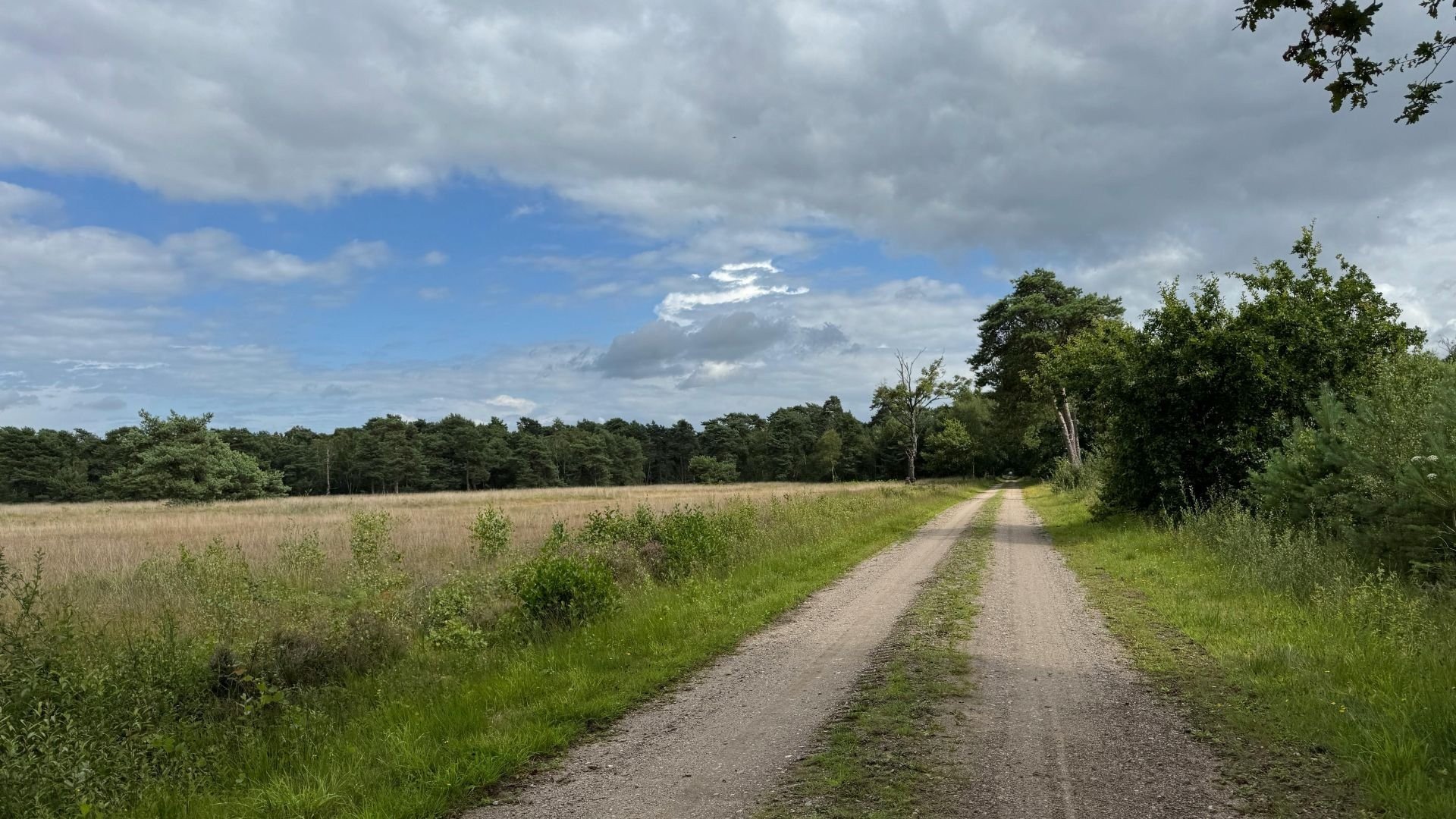 Oisterwijker Wälder und Seen