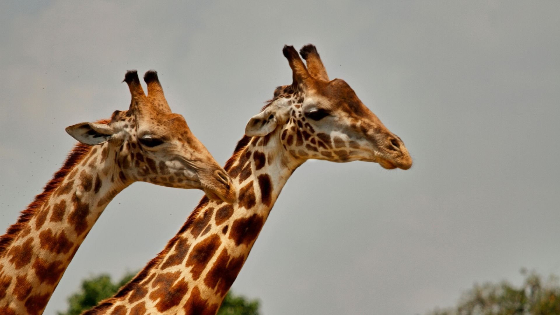 Ausflüge für die ganze Familie